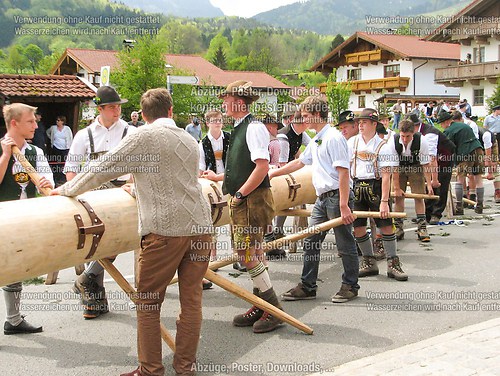 Rottauer Maibaum Q16