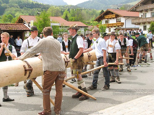 Rottauer Maibaum Q17