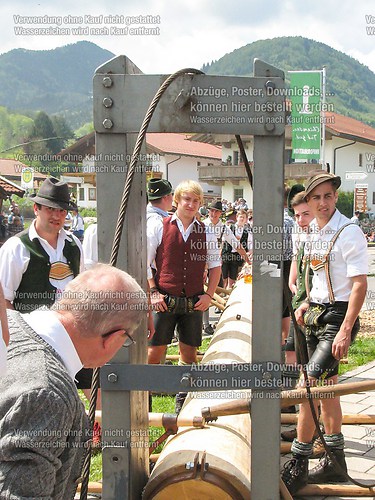 Rottauer Maibaum Q24