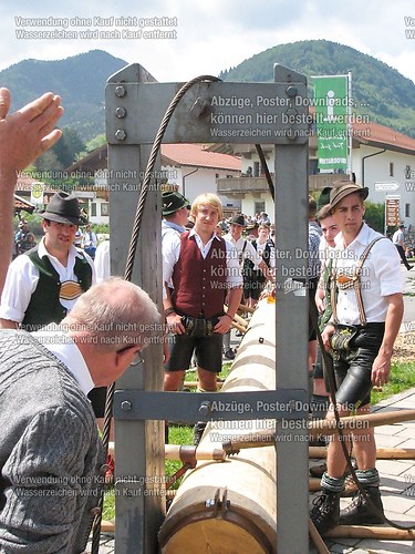 Rottauer Maibaum Q25