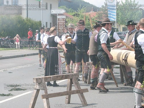 Rottauer Maibaum Q28