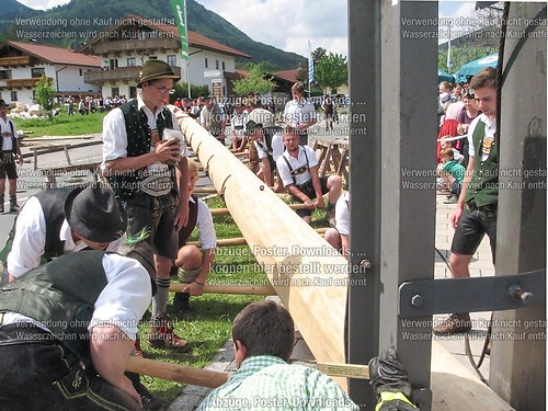 Rottauer Maibaum Q35