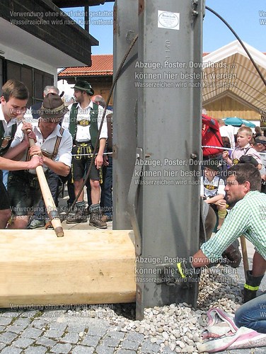 Rottauer Maibaum Q38