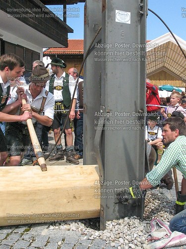Rottauer Maibaum Q39