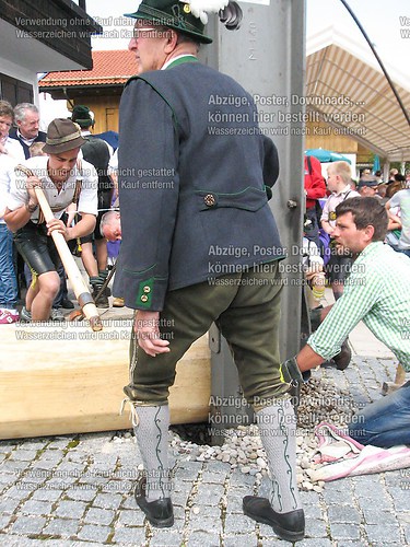 Rottauer Maibaum Q41