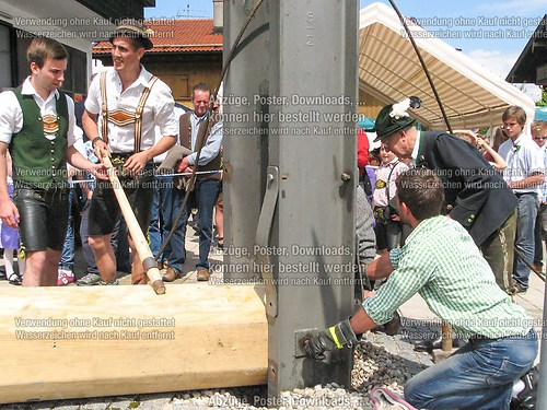 Rottauer Maibaum Q42
