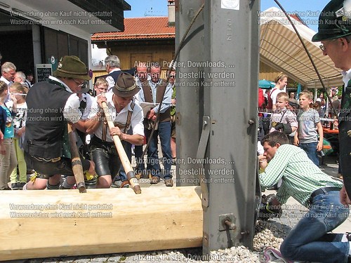 Rottauer Maibaum Q44