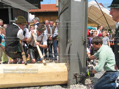 Rottauer Maibaum Q45