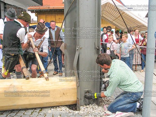 Rottauer Maibaum Q48