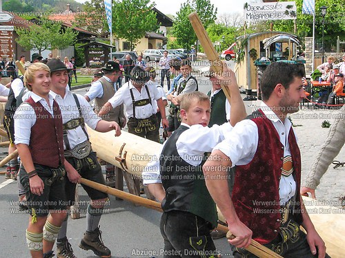 Rottauer Maibaum Q49
