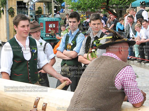Rottauer Maibaum Q50