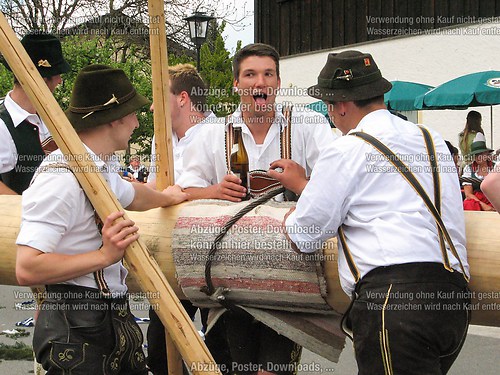 Rottauer Maibaum Q55