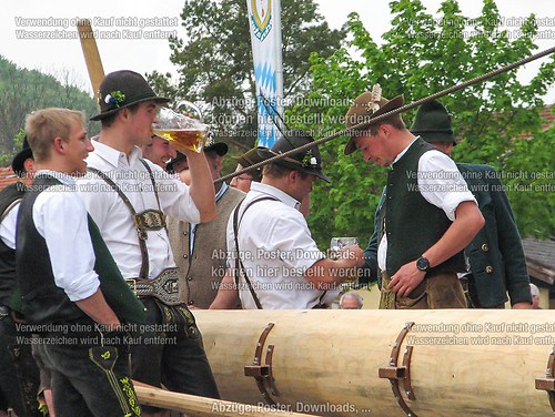 Rottauer Maibaum Q57