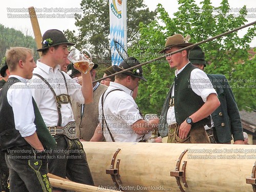 Rottauer Maibaum Q58