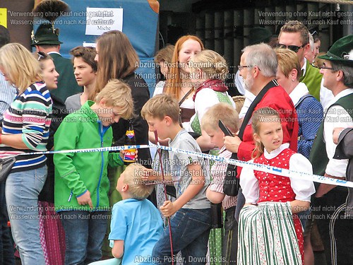 Rottauer Maibaum Q61