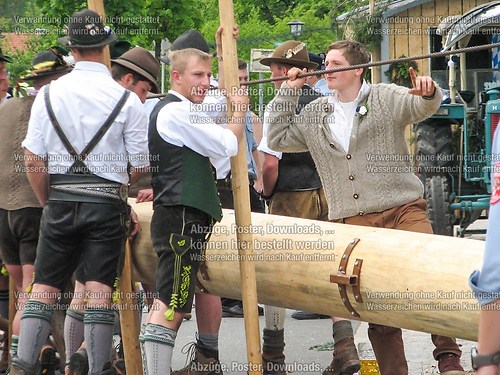 Rottauer Maibaum Q63