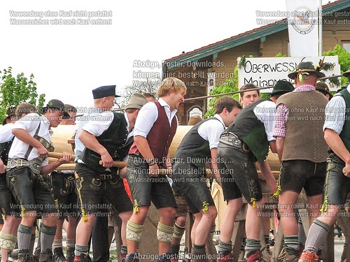Rottauer Maibaum Q65