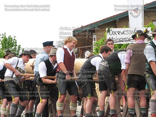Rottauer Maibaum Q66