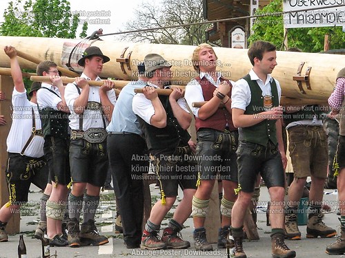 Rottauer Maibaum Q69