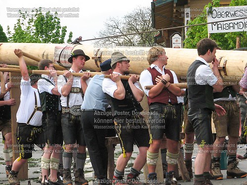 Rottauer Maibaum Q70