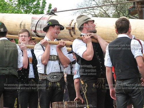 Rottauer Maibaum Q72