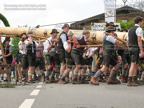 Rottauer Maibaum Q73