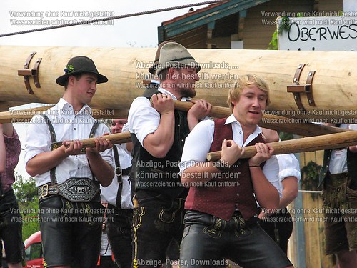 Rottauer Maibaum Q76