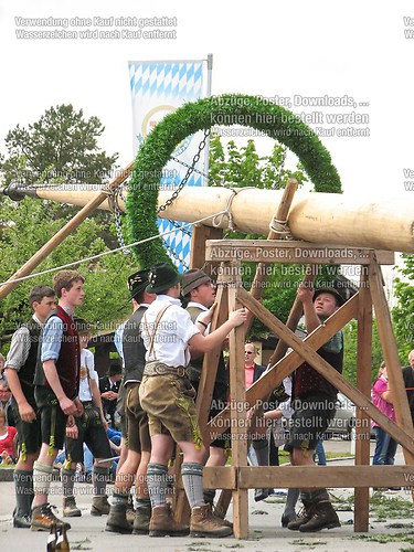 Rottauer Maibaum Q81