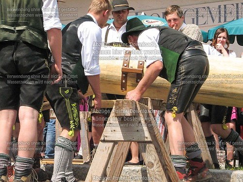 Rottauer Maibaum Q83