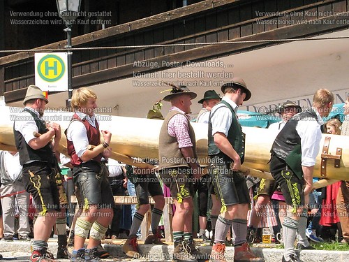 Rottauer Maibaum Q85