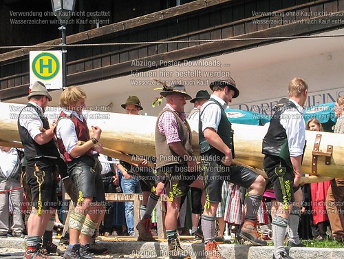 Rottauer Maibaum Q88