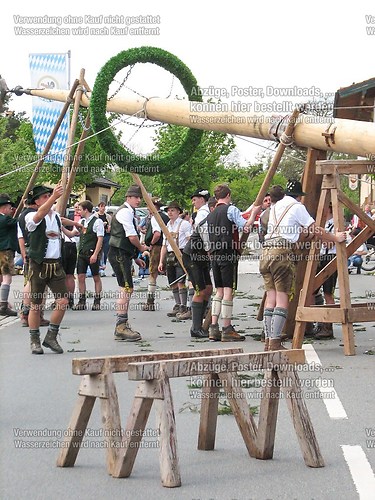 Rottauer Maibaum Q89