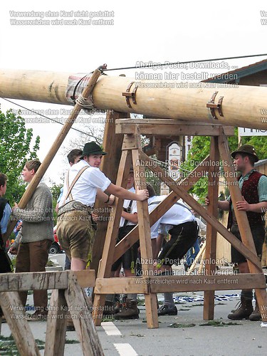 Rottauer Maibaum Q90