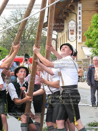 Rottauer Maibaum Q91