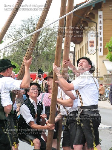 Rottauer Maibaum Q92