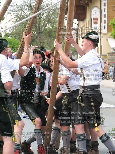 Rottauer Maibaum Q93