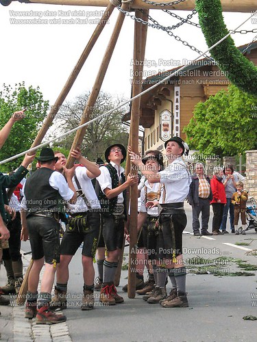 Rottauer Maibaum Q94