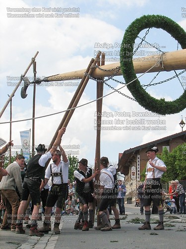 Rottauer Maibaum Q95