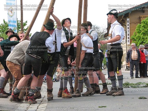 Rottauer Maibaum Q96