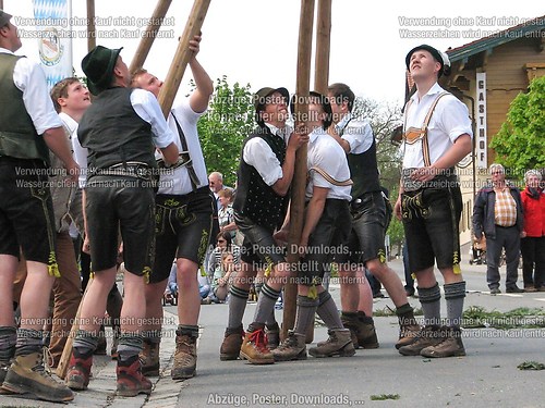 Rottauer Maibaum Q97