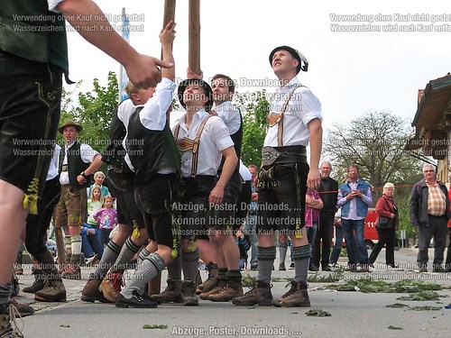 Rottauer Maibaum Q98