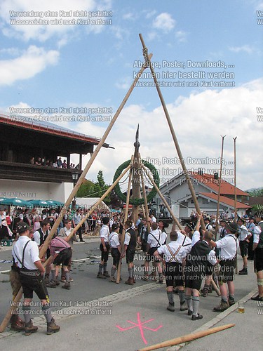 Rottauer Maibaum Q99