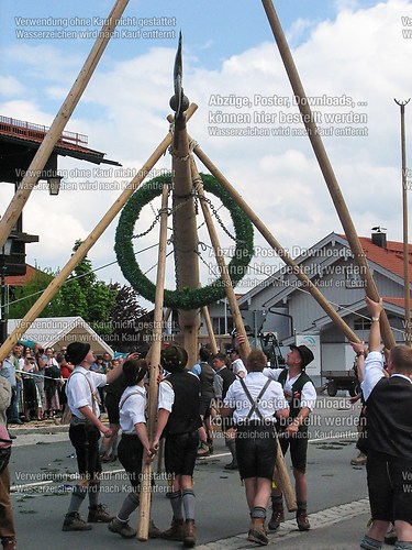 Rottauer Maibaum Q100