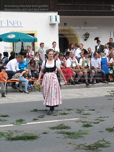 Rottauer Maibaum Q101