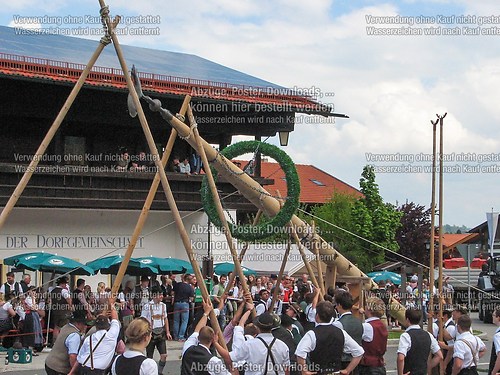 Rottauer Maibaum Q102