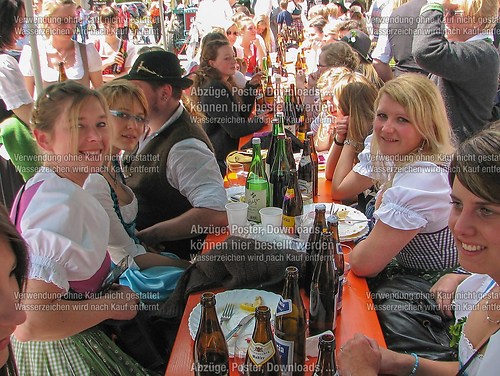 Rottauer Maibaum Q110
