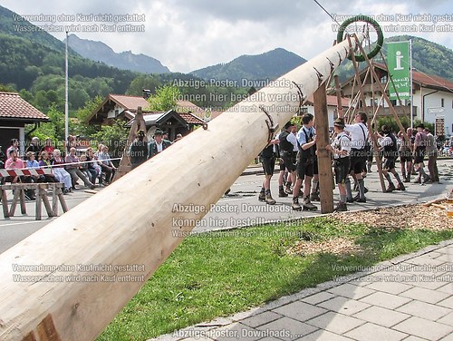 Rottauer Maibaum Q112