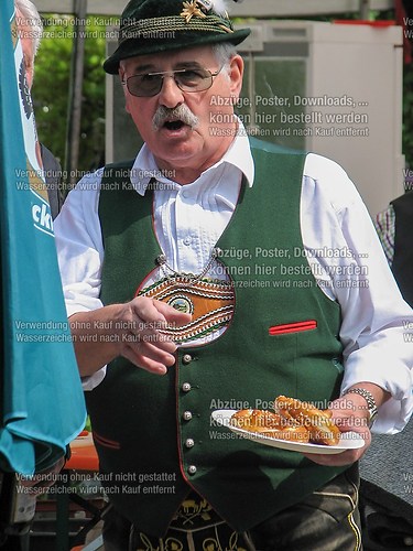 Rottauer Maibaum Q113