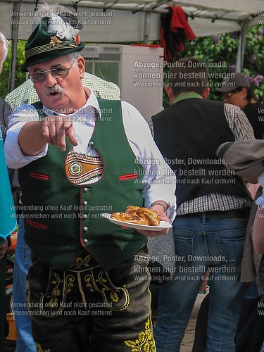 Rottauer Maibaum Q114