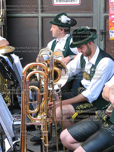 Rottauer Maibaum Q115
